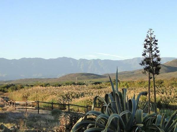 Tanagra Wine & Guestfarm Apartamento McGregor Exterior foto