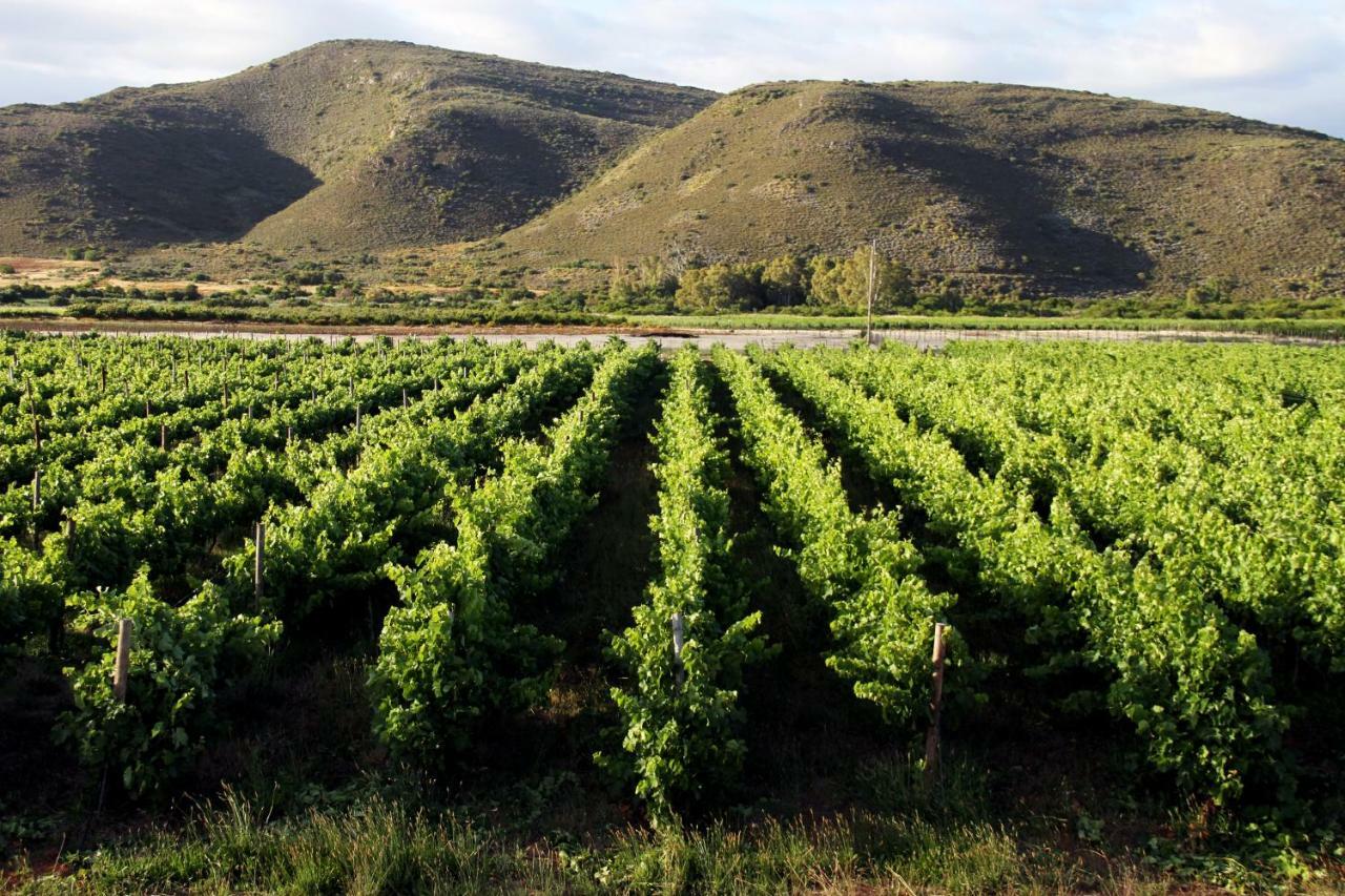 Tanagra Wine & Guestfarm Apartamento McGregor Exterior foto